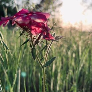 Meet your Posher, Madelyn